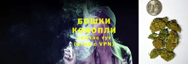молекула духа Зеленодольск