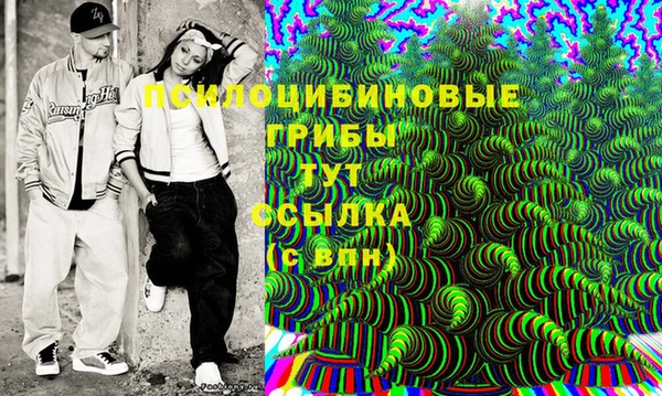 стафф Зеленокумск